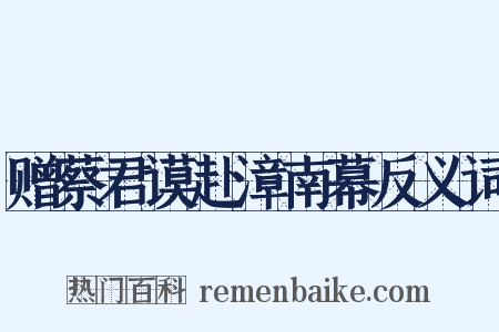 赠蔡君谟赴漳南幕反义词是什么意思的图片